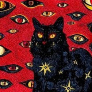 Meet your Posher, Kaylee